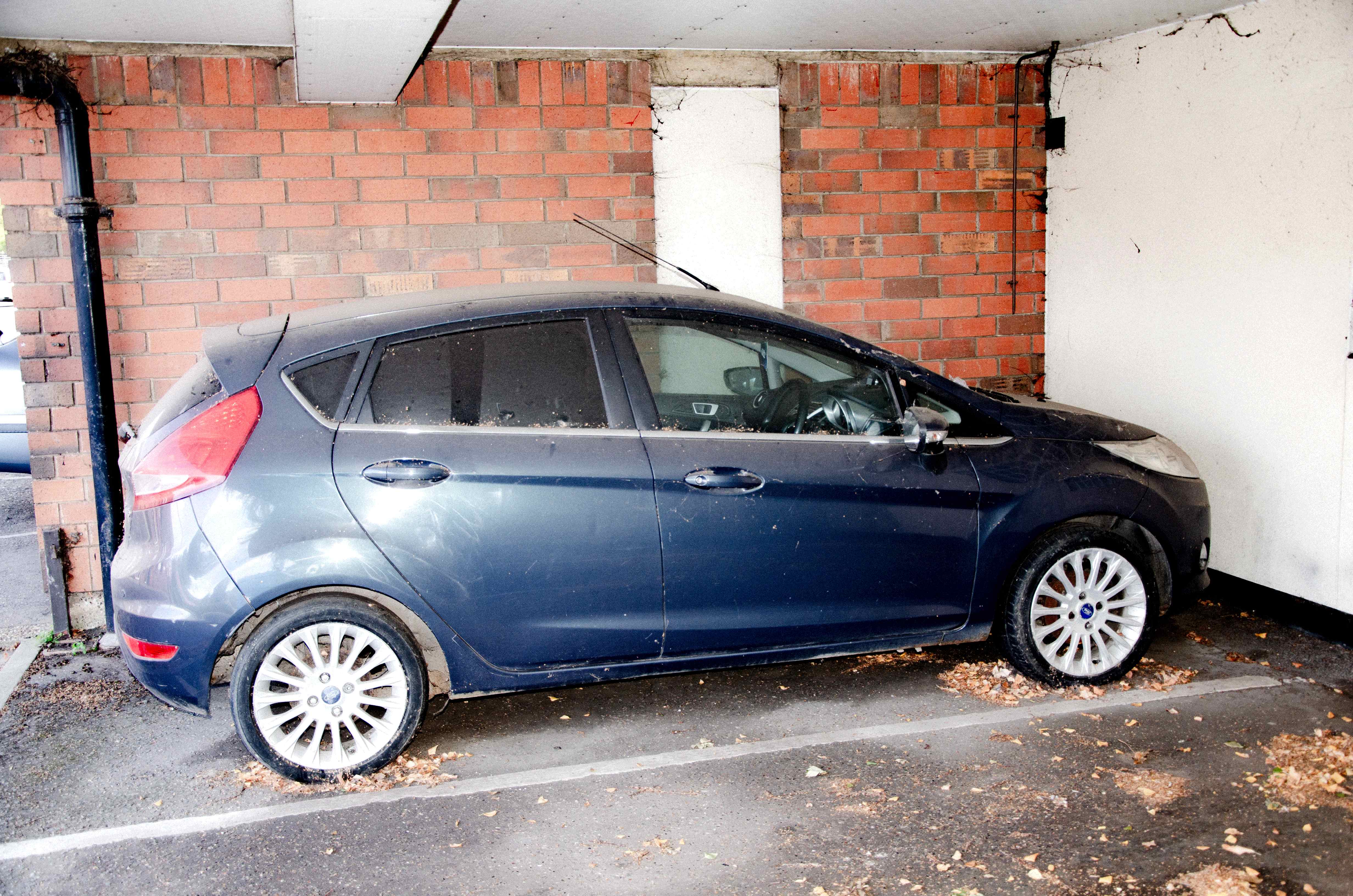car