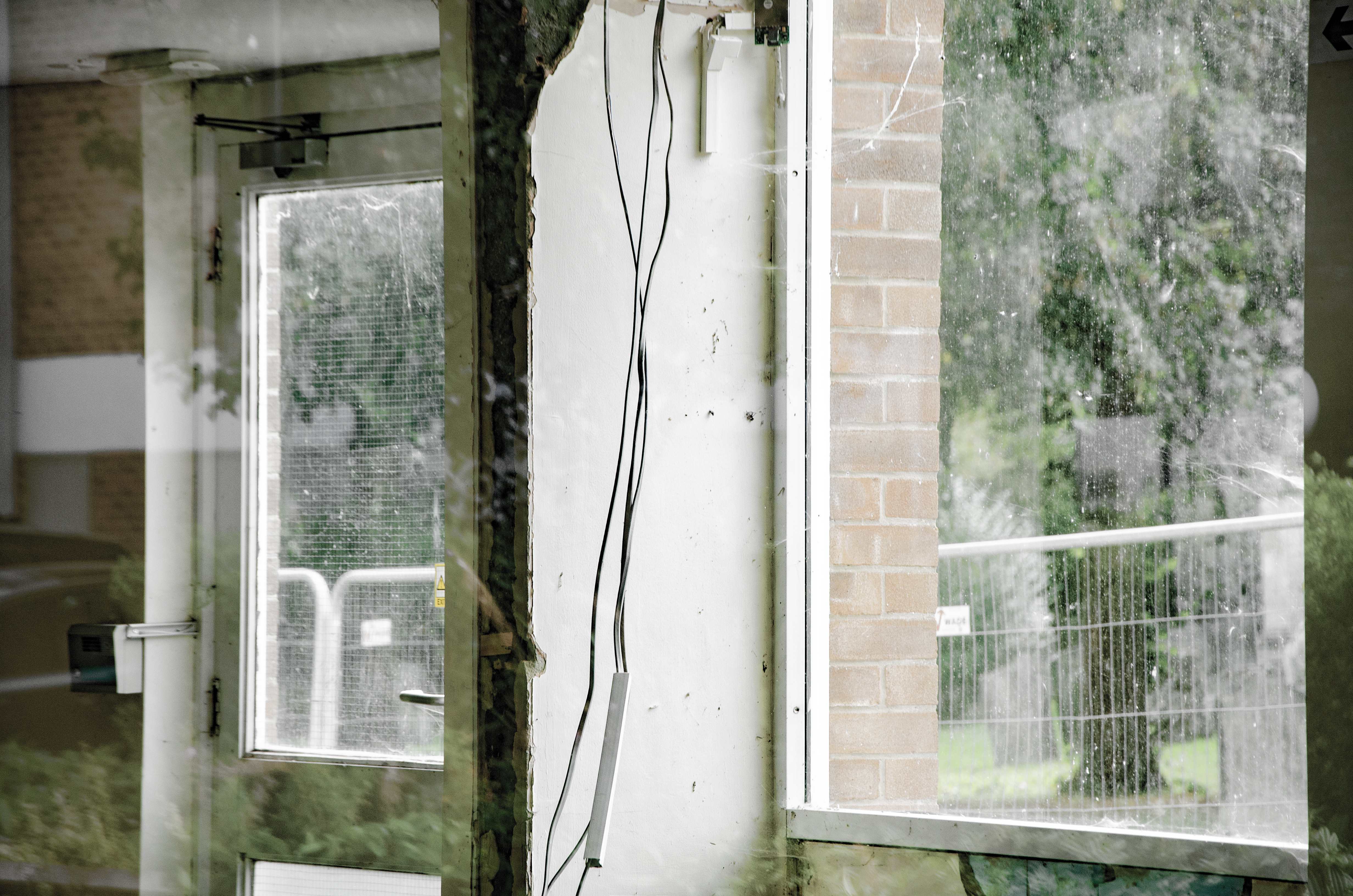 window